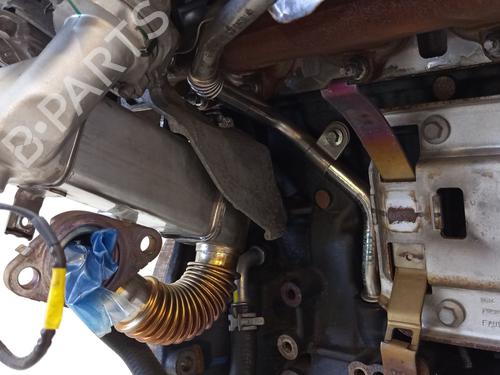 Engine RENAULT TALISMAN (LP_) 1.6 dCi 130 | BP28795413M1 