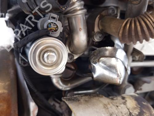 Engine SEAT IBIZA IV (6J5, 6P1) 1.6 TDI | BP29562334M1 