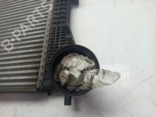 Intercooler / Chłodnica powietrza doładowującego VW PASSAT B6 (3C2) | BP30923884M30