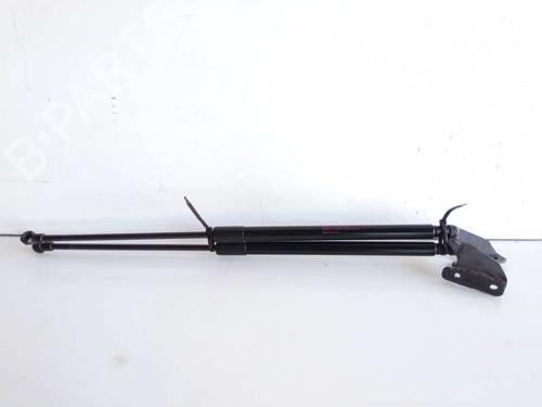 Used Tailgate lift support NISSAN QASHQAI / QASHQAI +2 I (J10, NJ10, JJ10E) 2.0 dCi (150 hp) 14224624