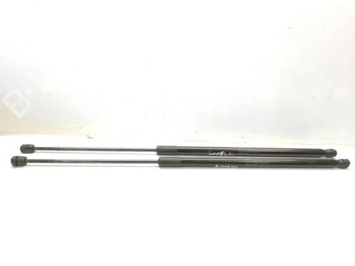 Used Tailgate lift support CITROËN C4 Picasso II 1.6 HDi / BlueHDi 115 (115 hp) 14225311