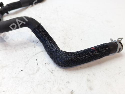 Rohr RENAULT CLIO V (B7_) 1.0 TCe 100 (B7MT) | BP31171799M125