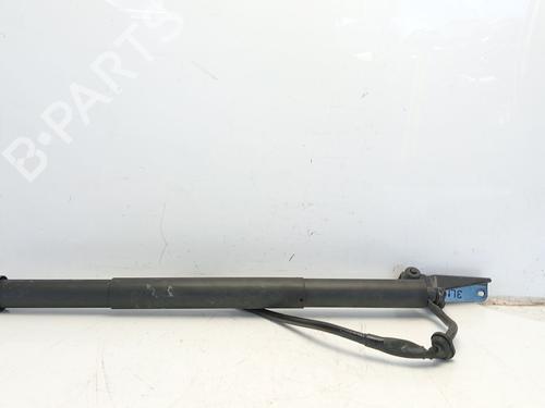 Tailgate lift support TOYOTA YARIS (_P13_)  | BP24970385C138 