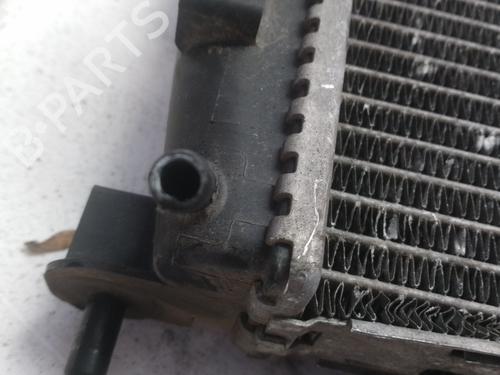 Water radiator NISSAN QASHQAI I (J10, NJ10)  | BP30774001M31 