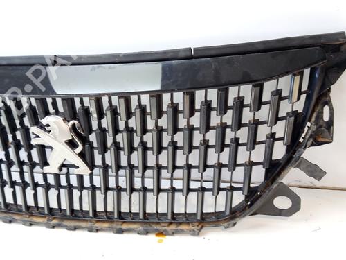 Grille PEUGEOT 2008 II (UD_, US_, UY_, UJ_, UR_, UC_)  | BP29876294C40