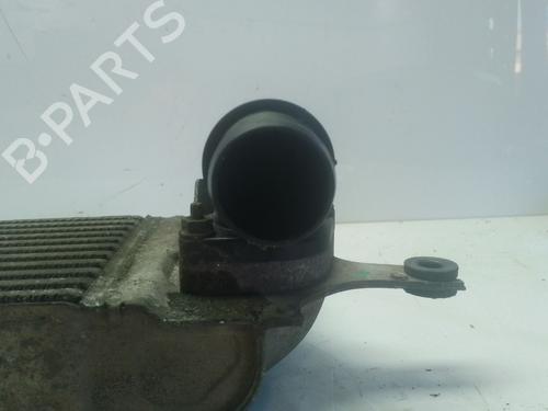 Intercooler NISSAN QASHQAI I (J10, NJ10) | BP30923801M30