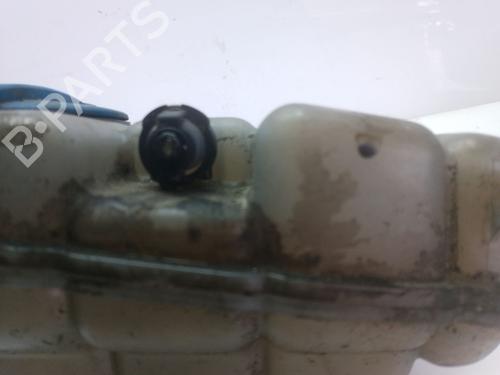 Expansion tank AUDI A6 C7 (4G2, 4GC) 2.0 TDI | BP31194388C120