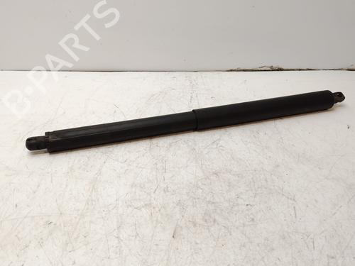 tailgate-lift-support-bmw-x5-e70-2006-2007-2008-2009-2010-2011-2012-2013-31158590 main image