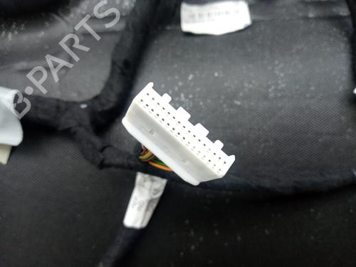 Innendach RENAULT CLIO V (B7_) 1.0 TCe 100 (B7MT) | BP31213600I12