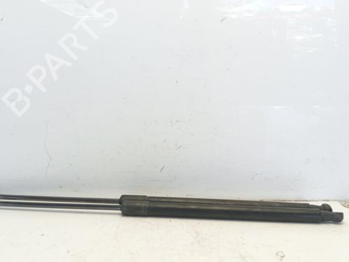 tailgate-lift-support-toyota-c-hr-_x1_-2016-25020084 main image