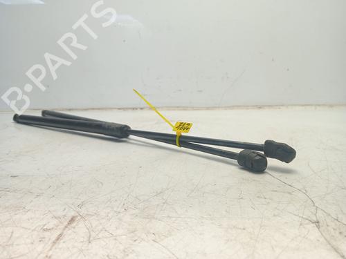 Tailgate lift support HYUNDAI TUCSON (JM) | BP31158579C138