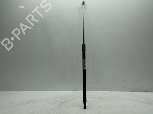 tailgate-lift-support-nissan-juke-f15-2010-2011-2012-2013-2014-2015-2016-2017-2018-2019-32868395 main image