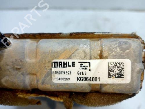 Heater matrix PEUGEOT 2008 II (UD_, US_, UY_, UJ_, UR_, UC_)  | BP24039766M63 