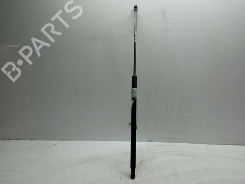 Gassdemper Bakluke NISSAN JUKE (F15) [2010-2019]  32338457