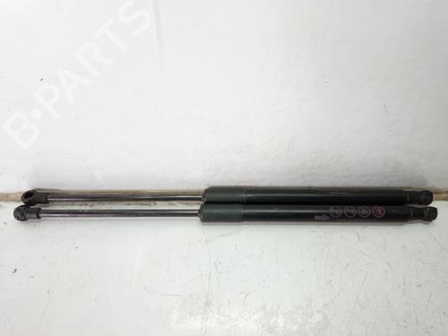 Tailgate lift support TOYOTA YARIS (_P13_)  | BP14224864C138 