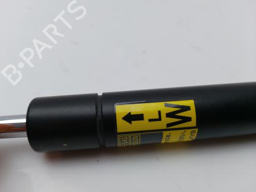 Tailgate lift support LEXUS CT (ZWA10_) 200h (ZWA10_) | BP16862787C138 