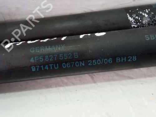 Tailgate lift support AUDI A6 C6 (4F2) 2.4 | BP14224778C138 