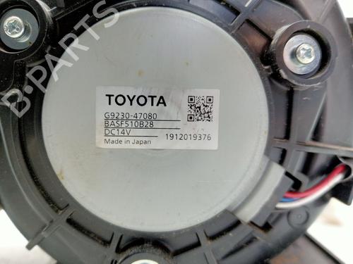 Heater blower motor TOYOTA C-HR (_X1_)  | BP19257542M62 