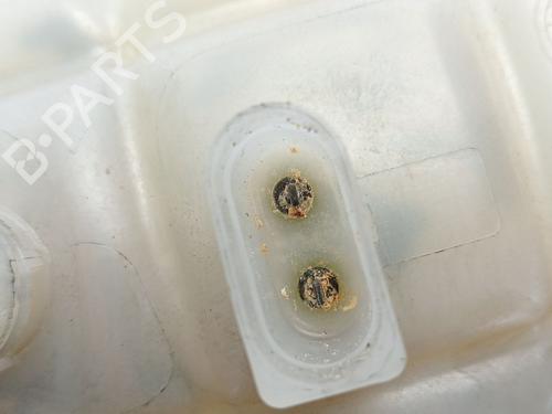 Expansion tank BMW 1 (F20) 116 d | BP30923830C120