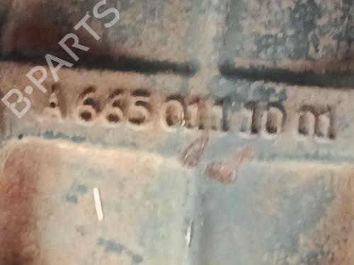 Engine SSANGYONG RODIUS II  | BP39684984M1  - Image 20