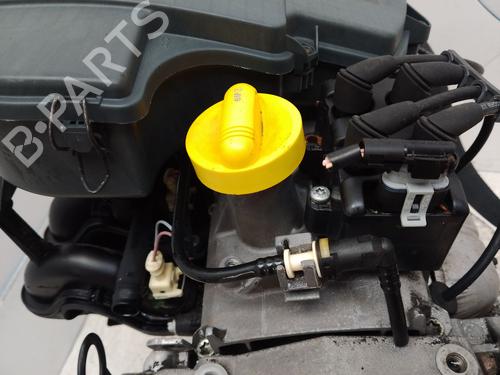 Engine RENAULT KANGOO (KC0/1_) 1.4 (KC0C, KC0H, KC0B, KC0M) | BP31864446M1 