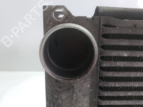 Intercooler MERCEDES-BENZ VITO / MIXTO Van (W639) | BP31214253M30