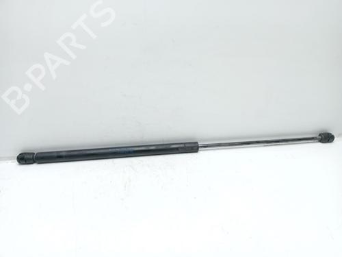 Hood lift support SEAT LEON (1M1) 1.6 16 V | BP16028606C139 