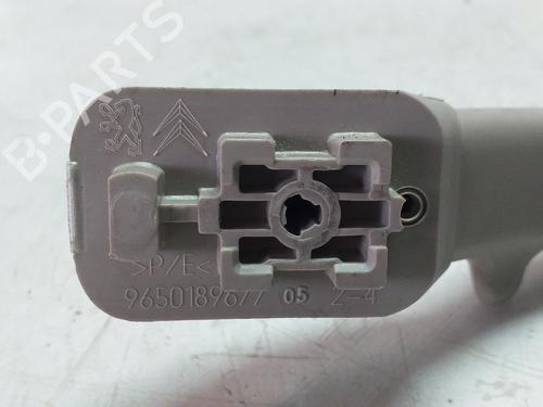 Front left interior door handle CITROËN C3 Picasso (SH_)  | BP8607096I13