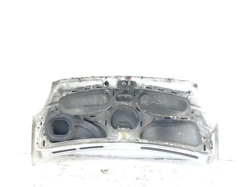 Hood IVECO DAILY IV Van | BP21082286C1