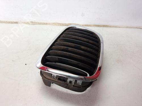 Grille BMW X5 (E53) 3.0 i | BP10214456C40 