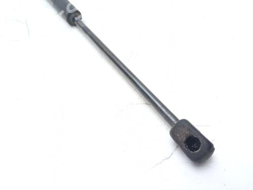 Tailgate lift support KIA PICANTO II (TA) 1.0 | BP16862791C138 