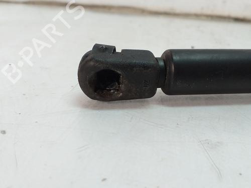 Hood lift support MINI MINI (R50, R53) Cooper | BP14224985C139 