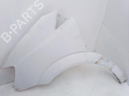 Left front fenders MERCEDES-BENZ SPRINTER 3-t Van (B906)  | BP15606765C41 