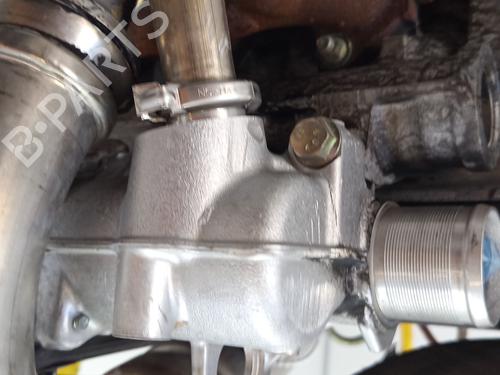 Engine RENAULT MEGANE II (BM0/1_, CM0/1_) | BP29074281M1