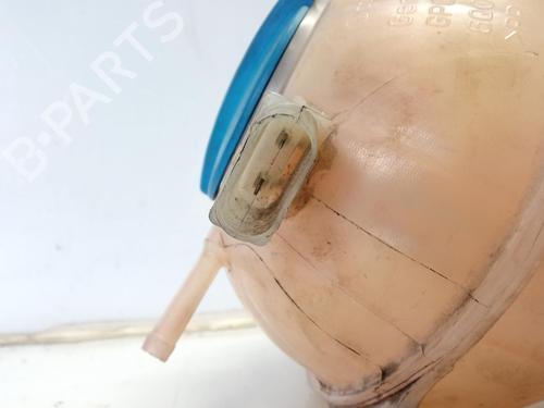 Expansion tank SEAT IBIZA III (6L1)  | BP10174068C120 