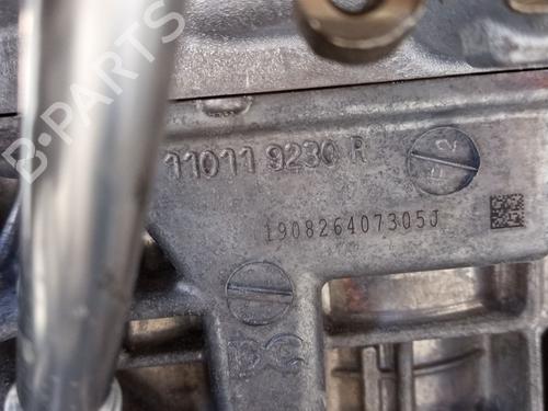 Engine RENAULT CLIO V (B7_) 1.0 TCe 100 (B7MT) | BP29500753M1 