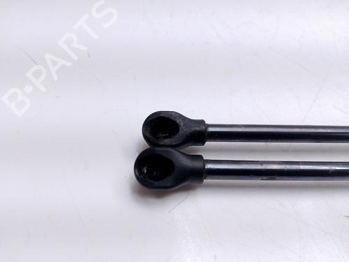 Tailgate lift support TOYOTA YARIS (_P13_)  | BP25591247C138 
