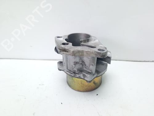 Vacuum pump RENAULT SCÉNIC II (JM0/1_)  | BP16869504M80 