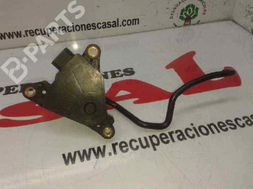 Pedal RENAULT CLIO III (BR0/1, CR0/1)  | BP7951768I4 