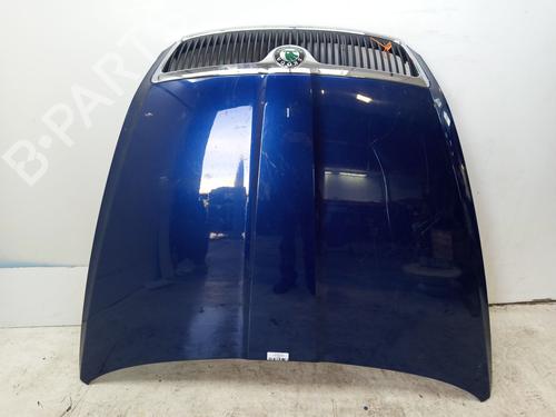 Used Hood SKODA OCTAVIA II (1Z3) 1.9 TDI (105 hp) 31145953