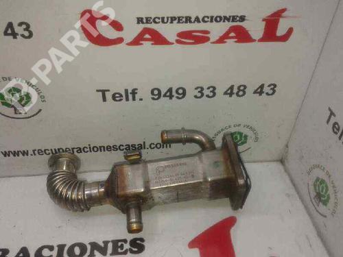 Egr RENAULT MEGANE II (BM0/1_, CM0/1_) [2001-2012]  7951956