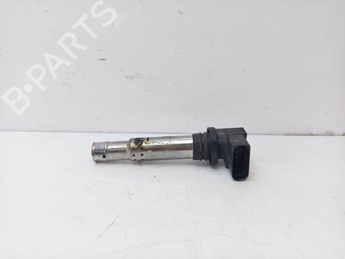 Used Ignition coil SEAT IBIZA III (6L1) [2002-2009]  33012494