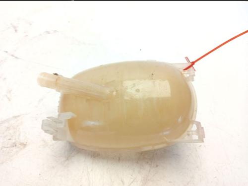 Ekspansjonstank RENAULT CLIO V (B7_) 1.0 TCe 100 (B7MT) | BP30923863C120