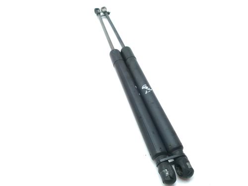 Tailgate lift support VW GOLF V (1K1)  | BP16862790C138 