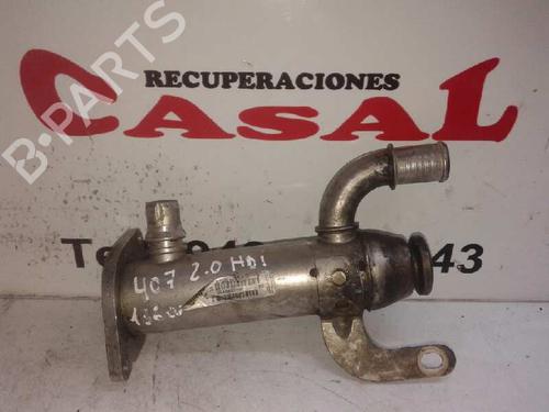 Used Egr Egr 7951395 7951395