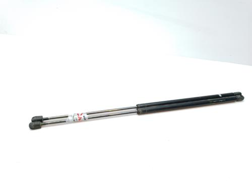 Tailgate lift support MERCEDES-BENZ M-CLASS (W163) ML 270 CDI (163.113) | BP16862434C138 