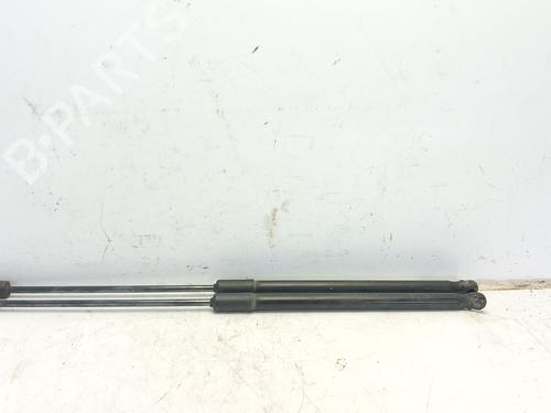 Used Tailgate lift support SEAT IBIZA V (KJ1, KJG) 1.0 TSI (110 hp) 25591260