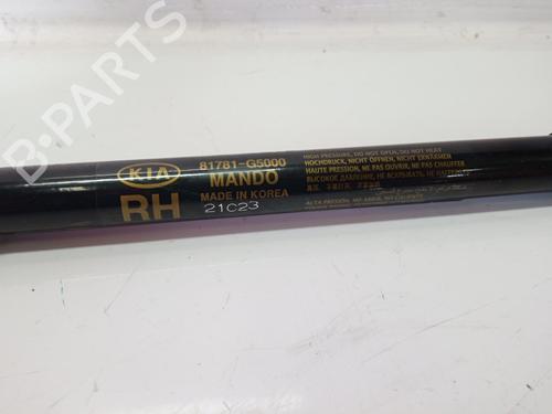 Right rear shock absorber KIA NIRO I (DE)  | BP14225348M19 