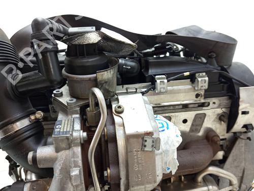 Engine SEAT IBIZA IV (6J5, 6P1) 1.6 TDI | BP29562334M1 