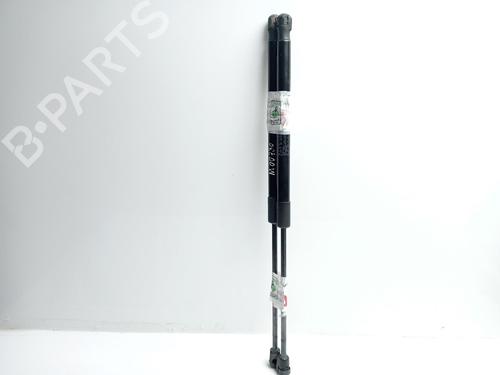 Tailgate lift support CITROËN C4 II (NC_)  | BP16103144C138 